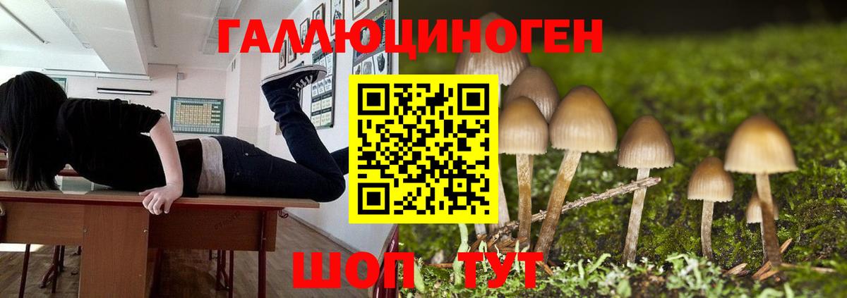 купить наркоту  Вход с VPN  Ишим  Псилоцибиновые грибы Cubensis  Галлюциногенные грибы MAGIC MUSHROOMS 